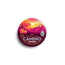 Kiva: Camino Sours - Orchard Peach