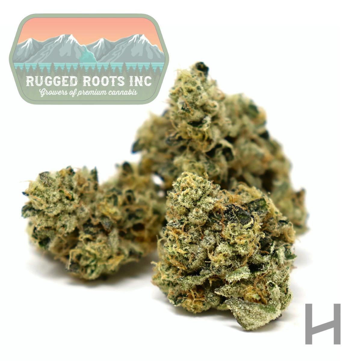 Rugged Roots | Khalifa Kush | Flower | I | [3.5g]