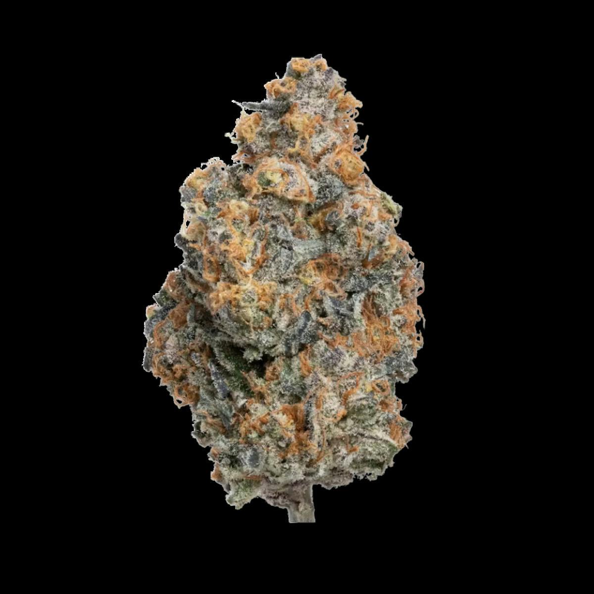 Snapple | Flower | S | [3.5g]