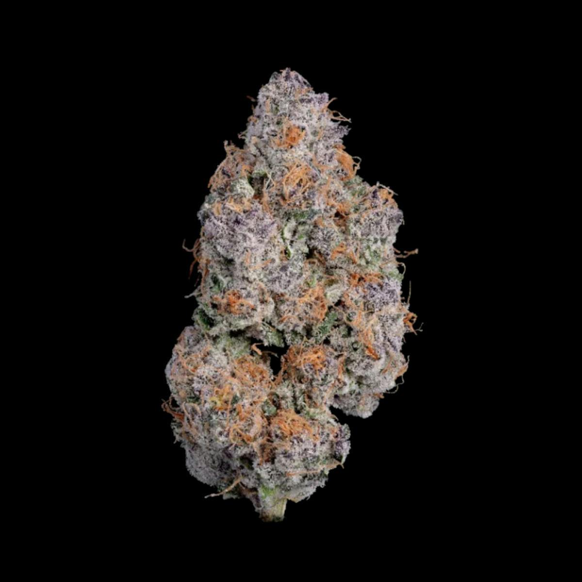 Paul's Boutique | Cherry Paloma | Flower | I | [3.5g]