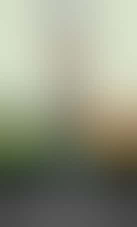 1mL Sour Diesel Distillate High Flow Disposable