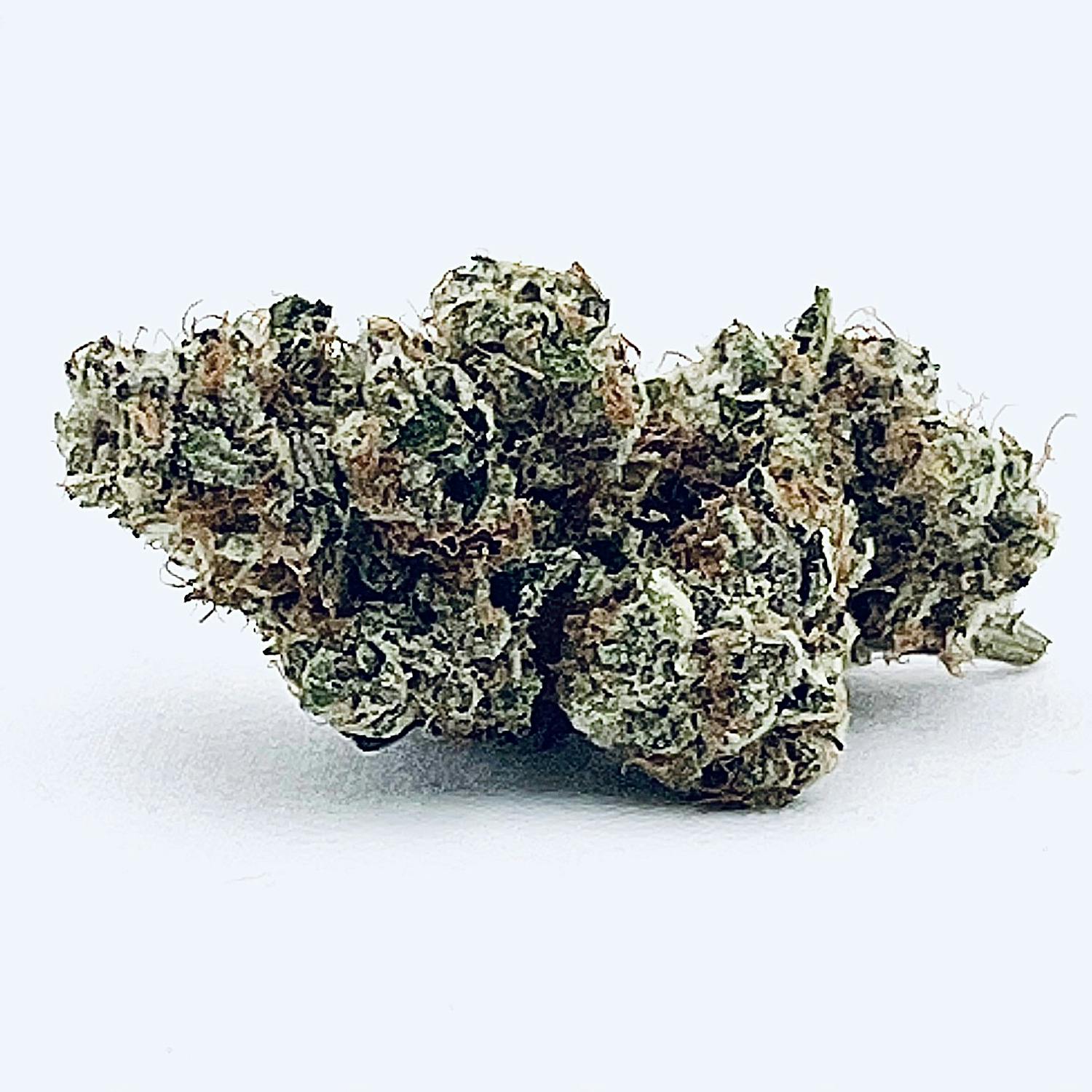 BlockBerry Flower