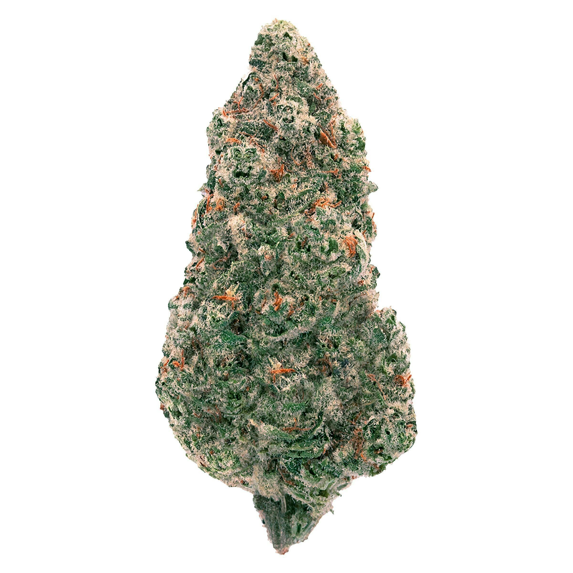 Back Forty - Mandarin Cookies - 3.5g