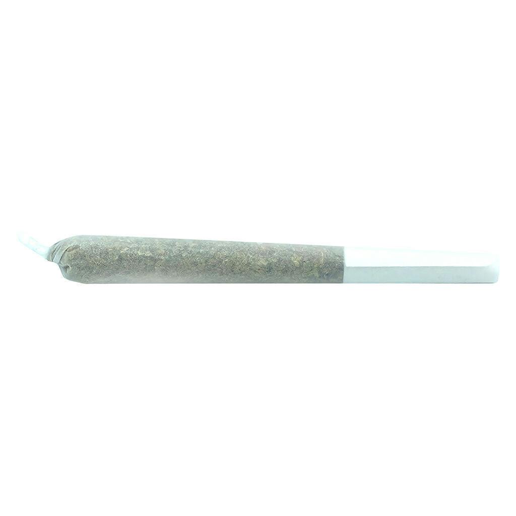 Truro - Truffle Treats Pre-Roll - 1x0.5g