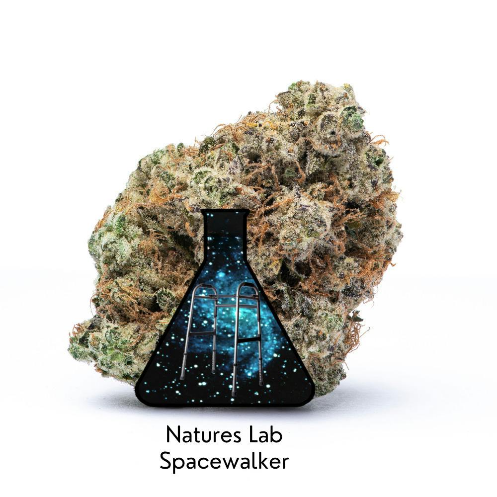 Spacewalker
