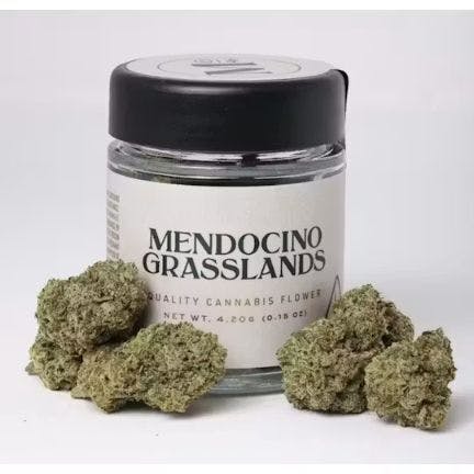 Mendocino Grasslands: GMO Cookies