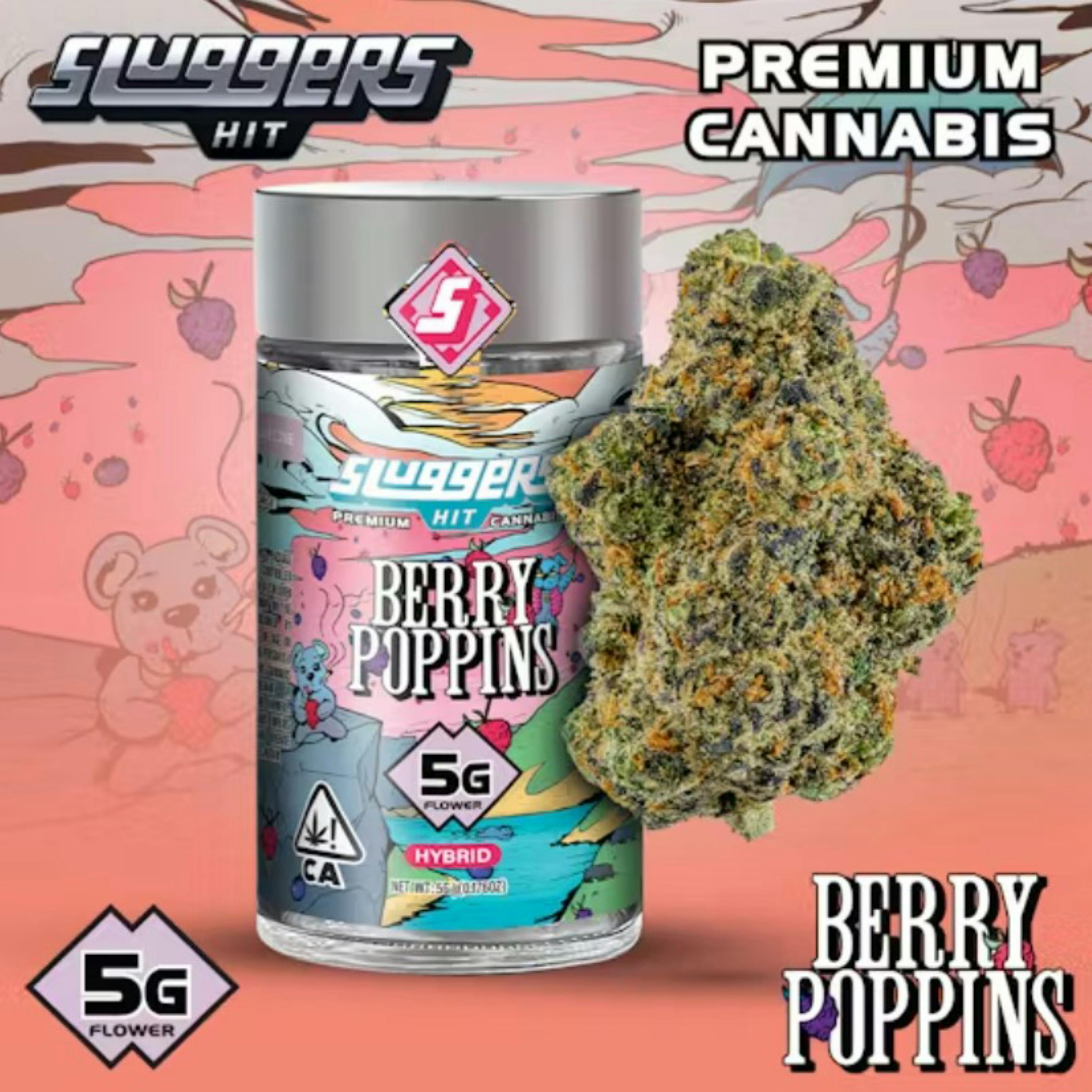 Sluggers Hit: Berry Poppins