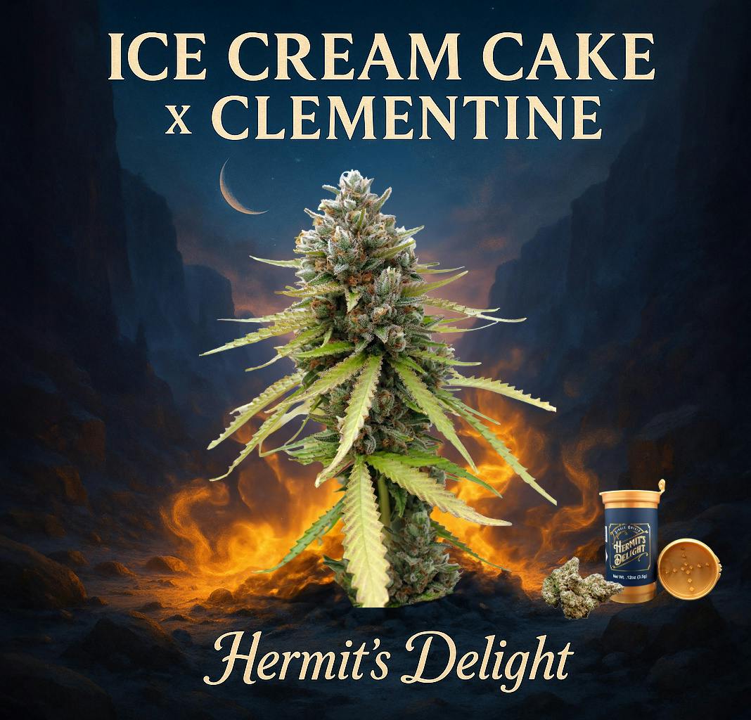 Ice Cream Cake X Clementine cannabis product