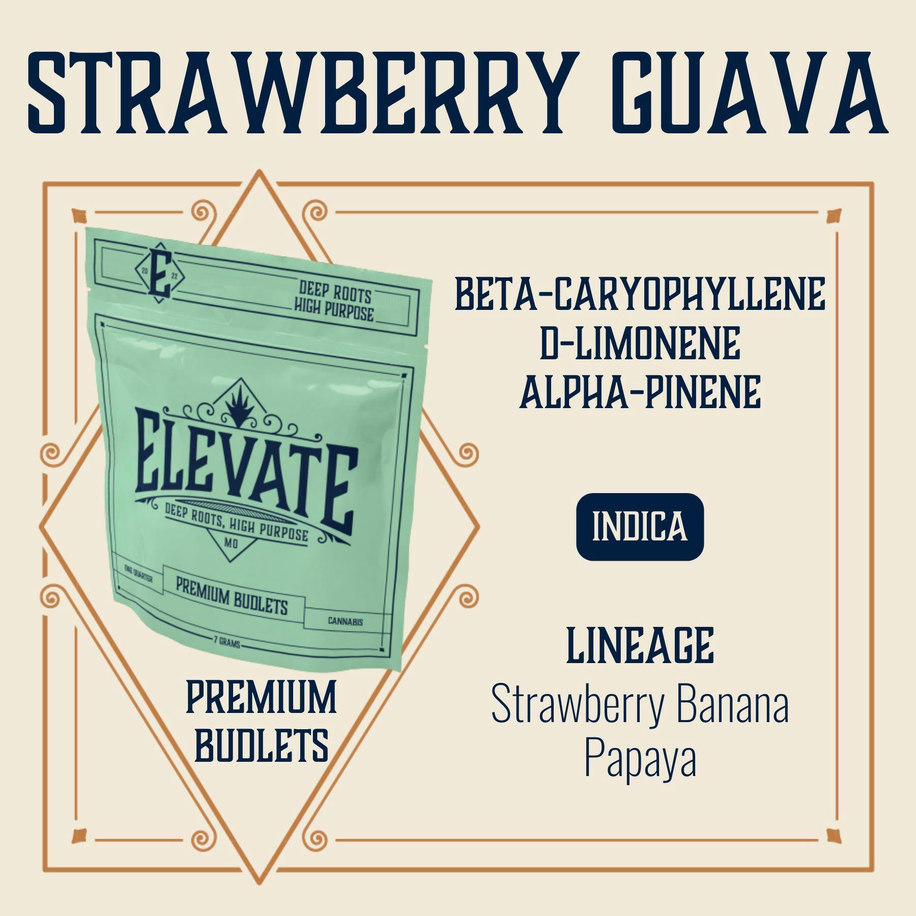 Strawberry Guava | Budlets