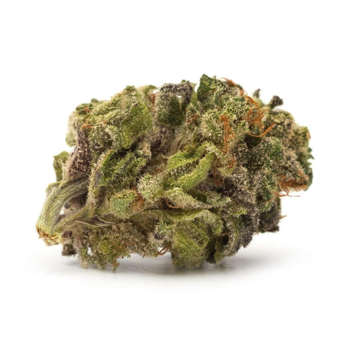 Twd. - Sativa - 28g