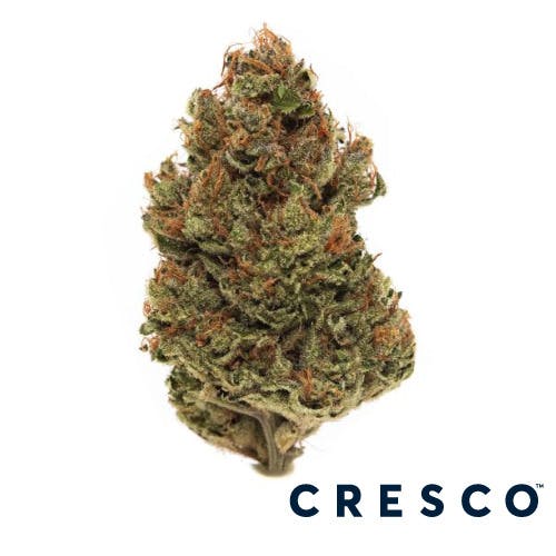 Board Wax | Pre-Pack Deli at High Profile X Budega of Roslindale Dispensary
