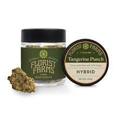 Florist Farms Tangerine Punch (Hybrid) Flower