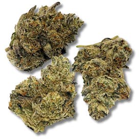 RWB 7g High Society Prepack