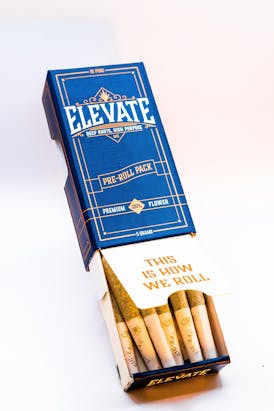 Elevate Pins Jungle Driver PreRoll Pack (5g)