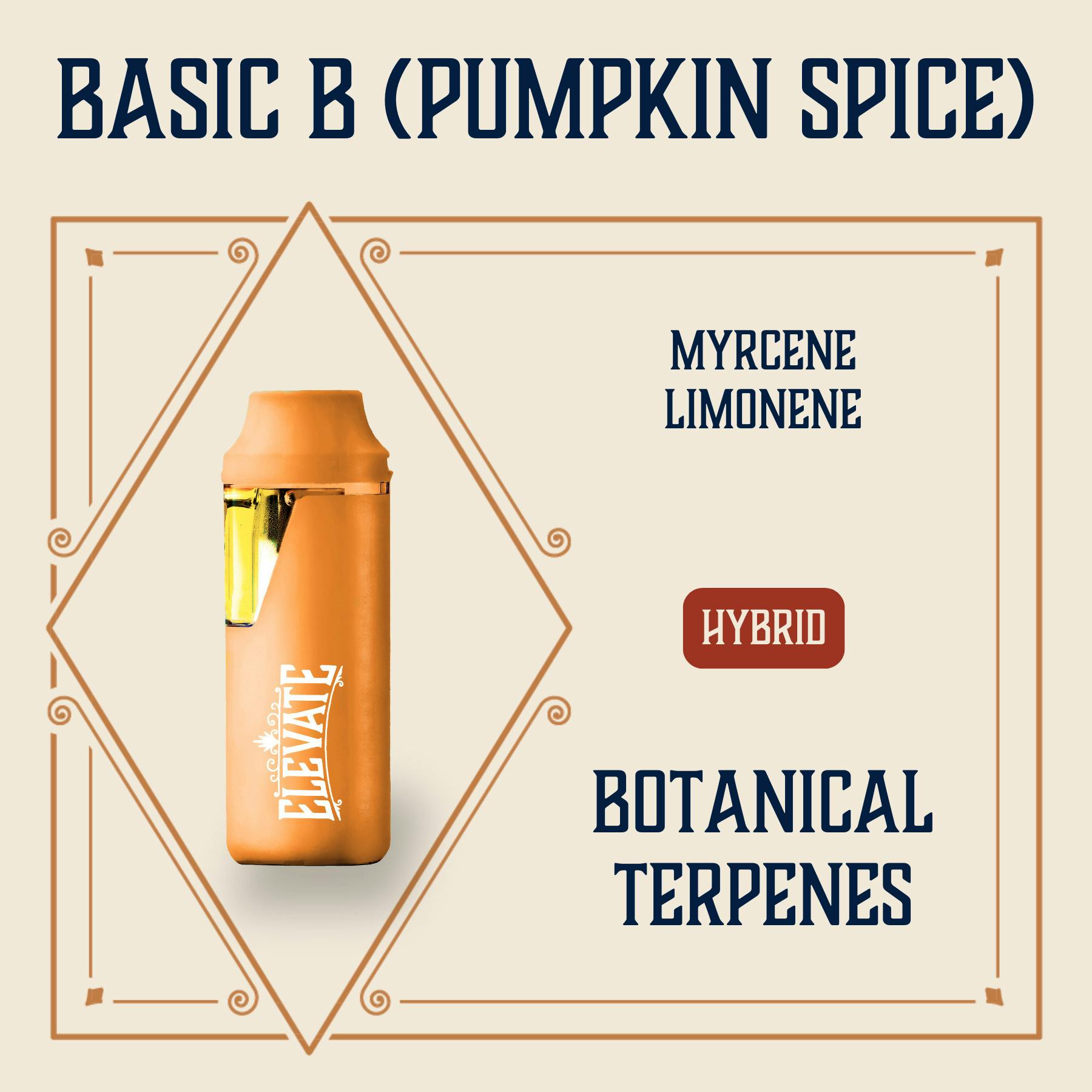 Elevate Strawnana Botanical Min-E-Bar Vape (1g)