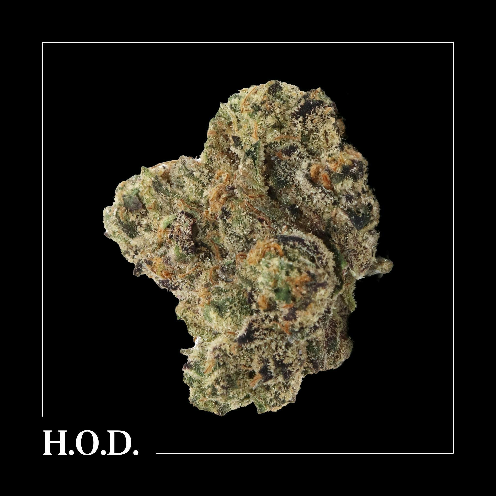 Gelato #41 cannabis product