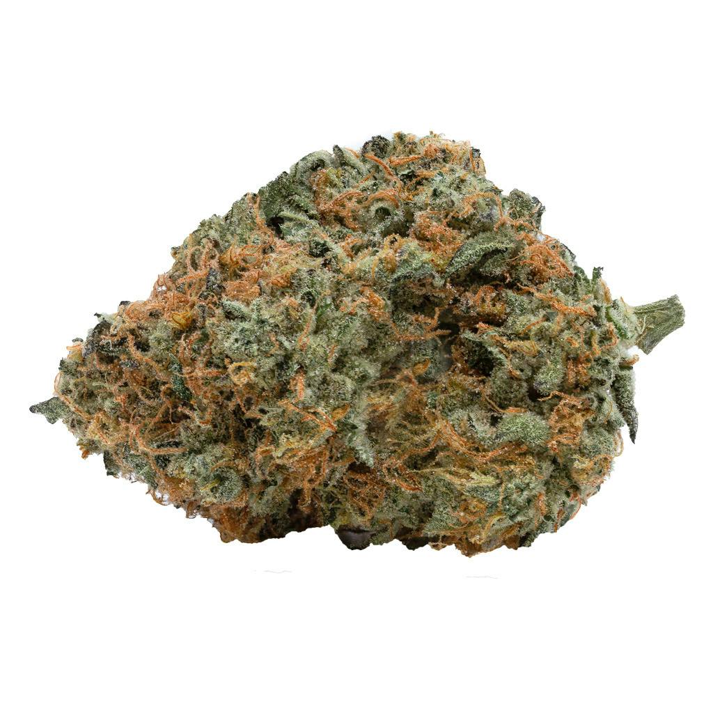 Medellin Flower