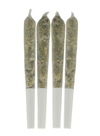 DIME BAG Tropical Pocket Puffs Pre-Roll 4x0.5g
