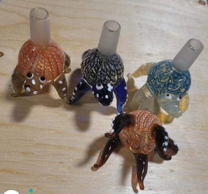 Design Bowl Pieces Eyes And Turtle.