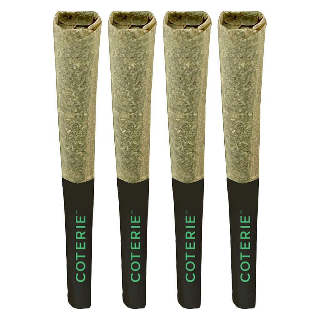 Coterie - Jealousy Pie Pre-Roll - Indica - 4x0.5g