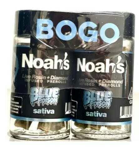 NOAH'S - Blue Poison: X 5 +