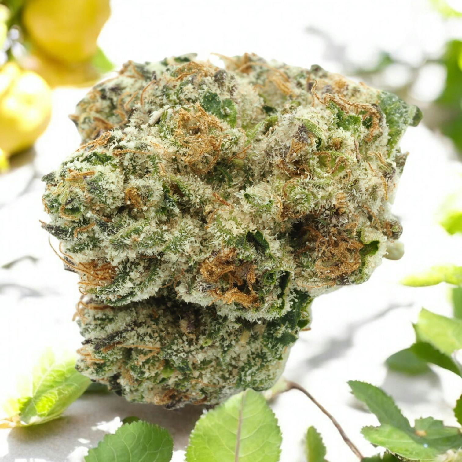 SkyHigh LA Flower | Lemon Tree