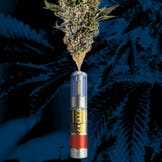 Cresco Chemex Live Resin Cartridge 0.5g