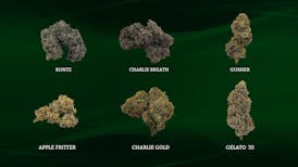 Charlie Farms - Flower - Biscuit Breath - Plus