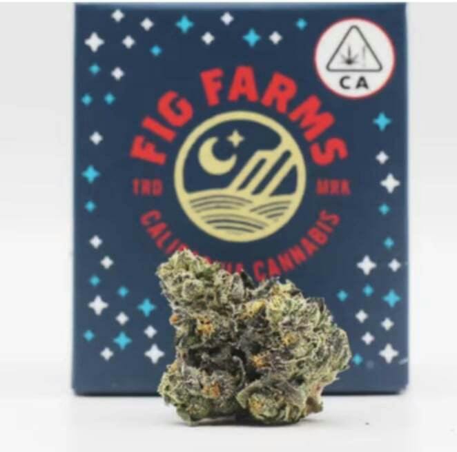 Fig Farms 3.5g Jar - Chems & Cherry