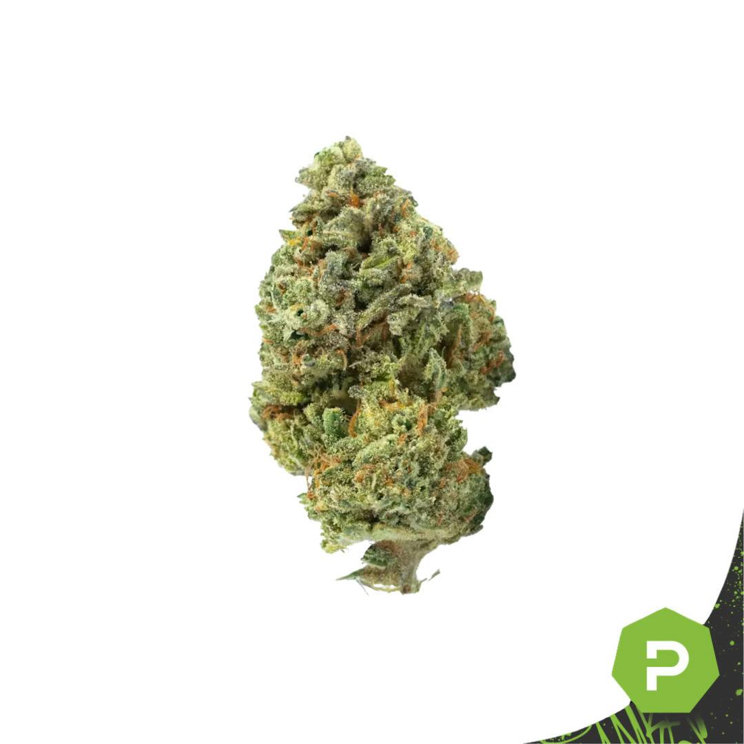 Epic Gardens | High Voltage