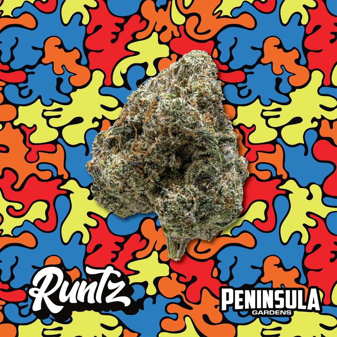 Peninsula Gardens | Runtz cannabis product