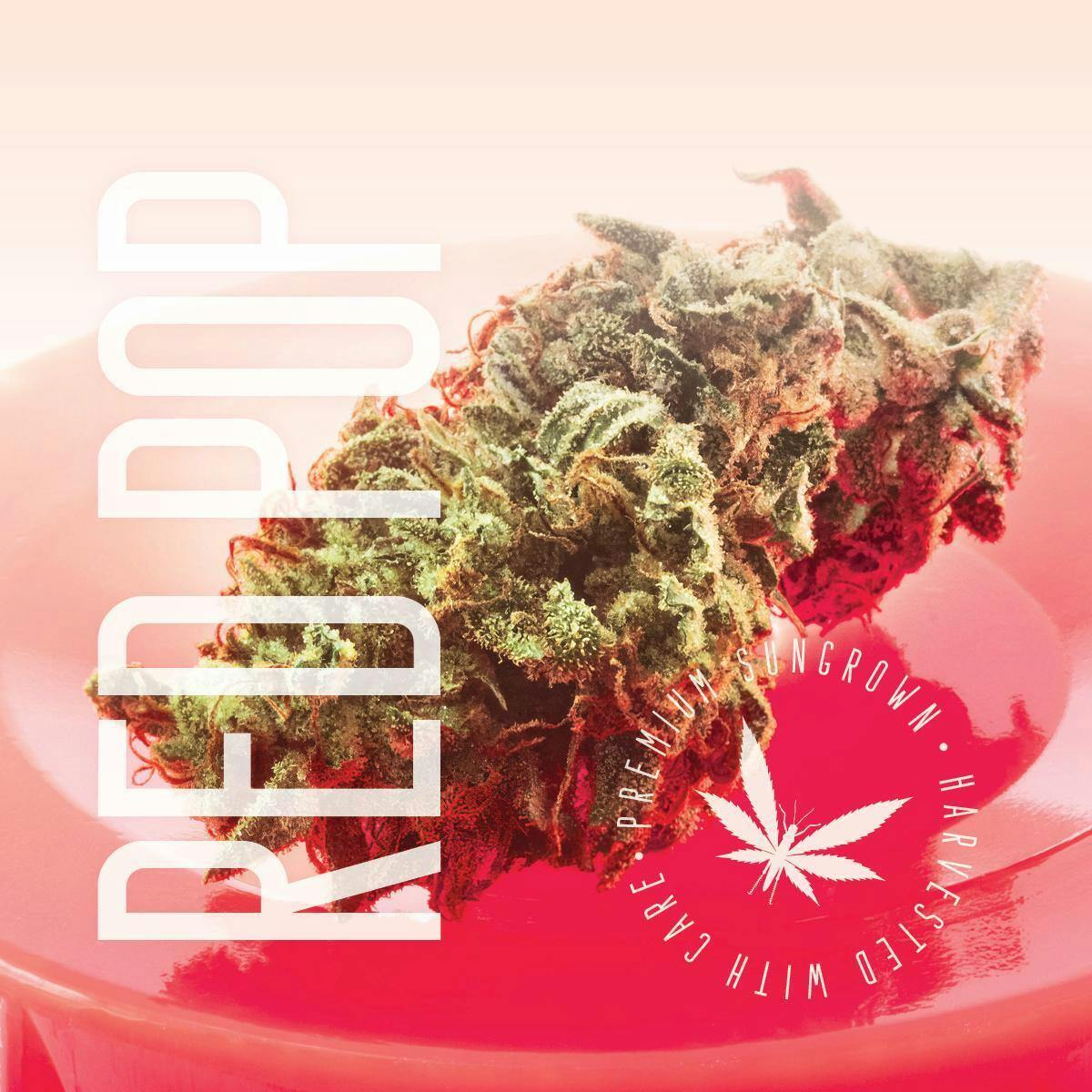Grasshopper Farms | Red Pop at PUFF Cannabis - Kalamazoo