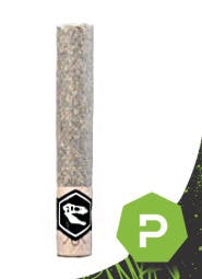 Apex Solventless | 1.5g Baby Dino Doink Hash Hole | Gogurt Parfait