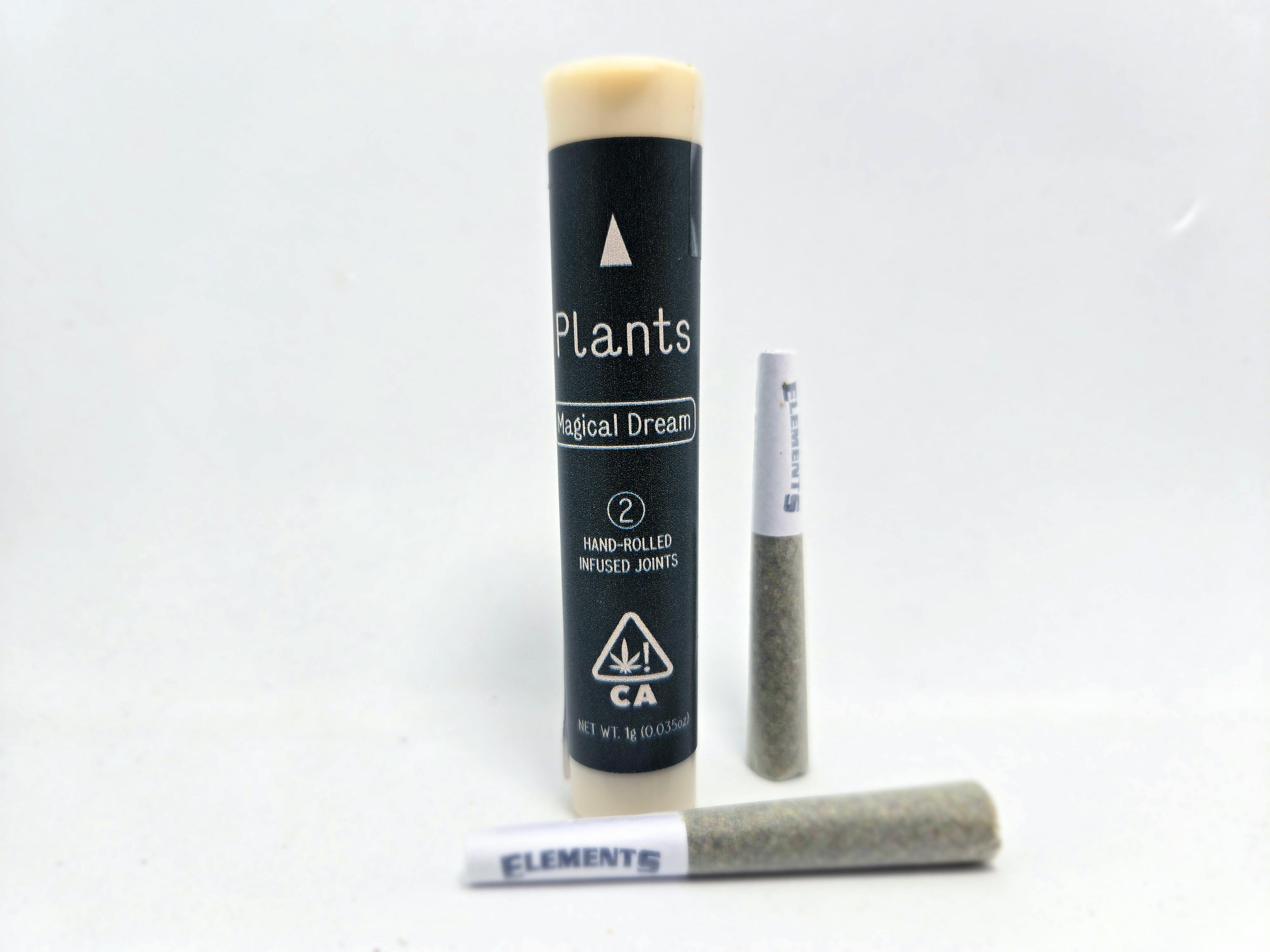 PLANTS X ARCANNA- MAGICAL DREAM 2PK PRE-ROLLS - 1 g