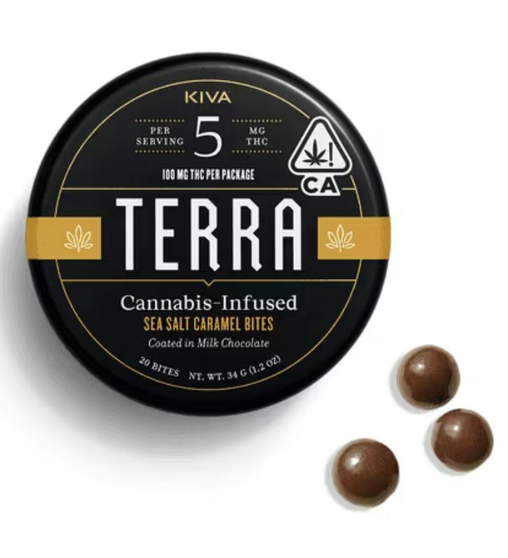 TERRA BITES- SEA SALT CARAMEL