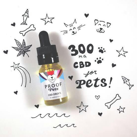 PETS CBD DROPS - 300 mg