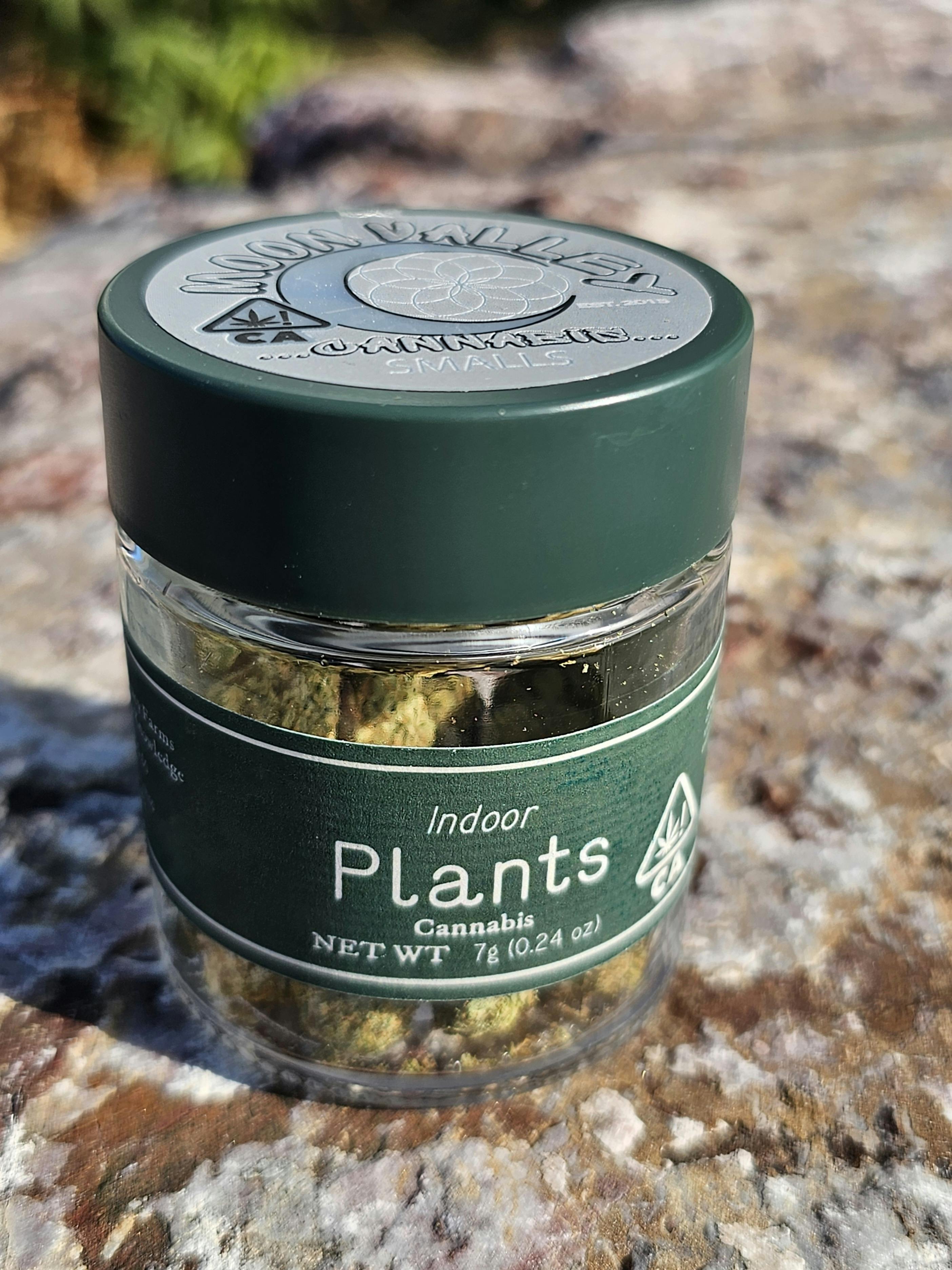 PLANTS X MOON VALLEY CANNABIS WHITE ZLUSHIE - 7 g