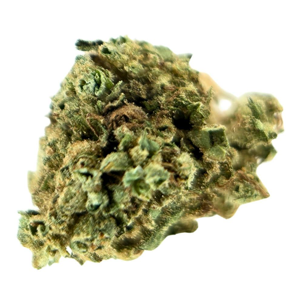 Root and Sol - Shotti - Eighth