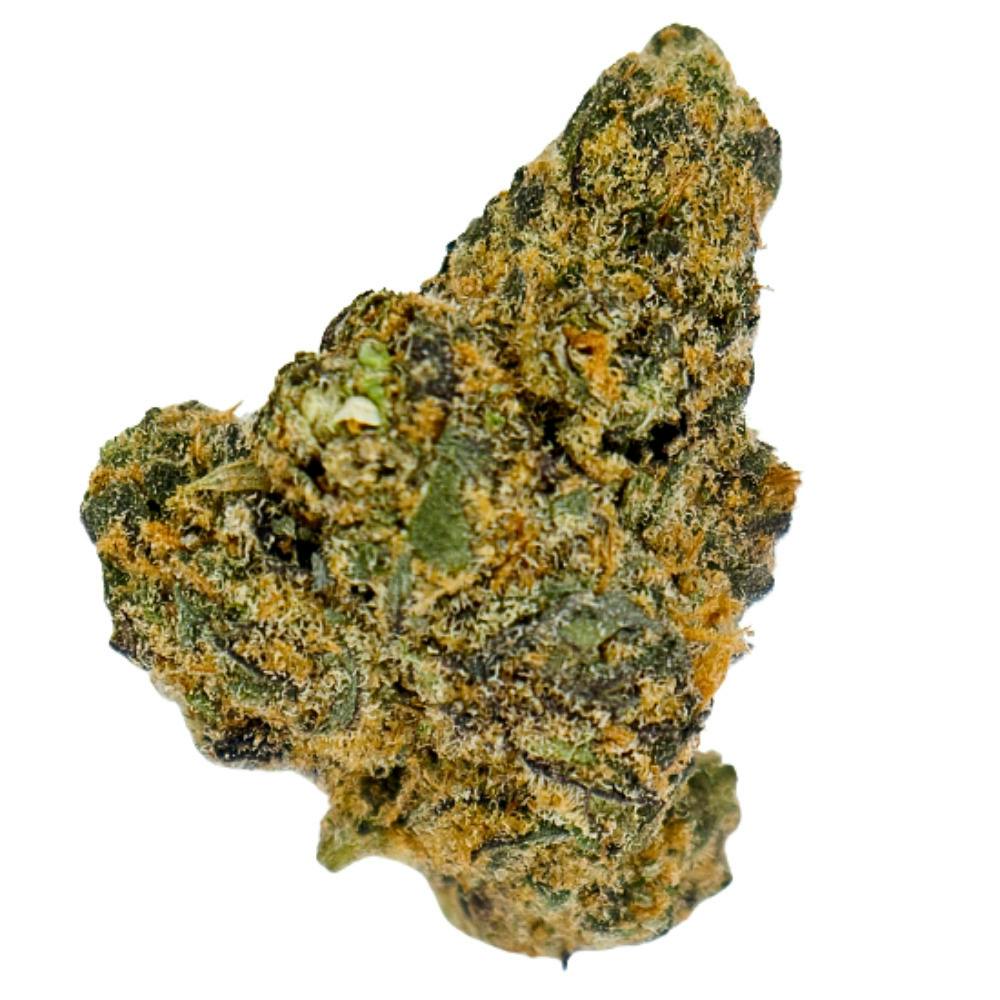 Seed Junky - Tropical Burst - Prepackaged Eighth