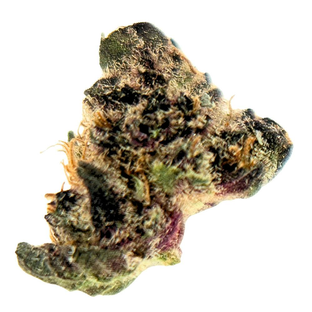 Sweet Cut- Blockberry - Eighth