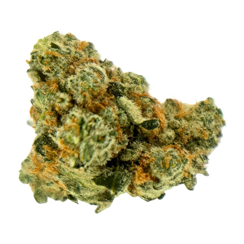 Seed Junky - Mango Fruz - Eighth
