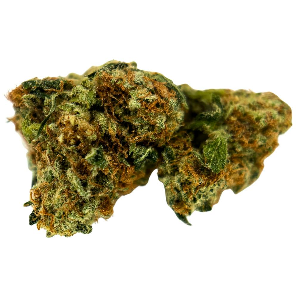 MJ Verdant - Tropical Rabbit