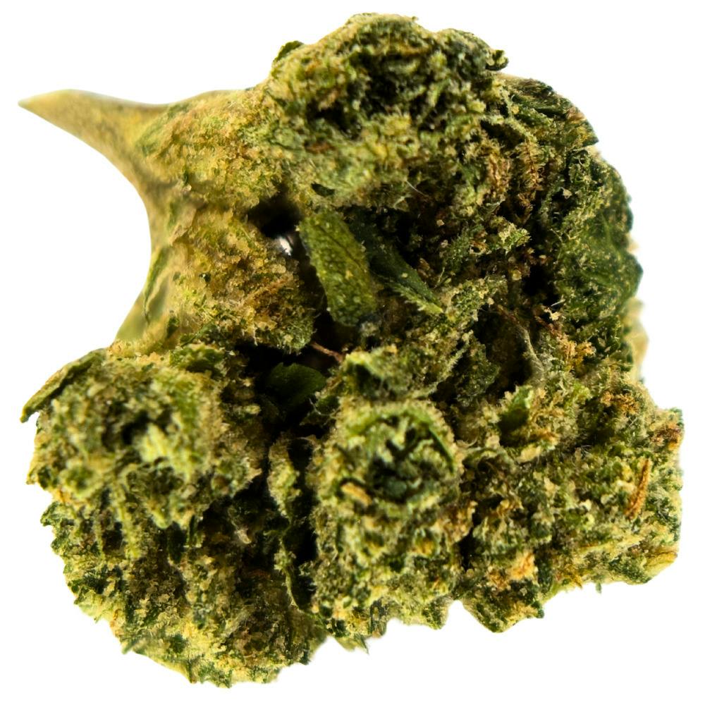 Michigan Roots - Sharpiez - Quarter