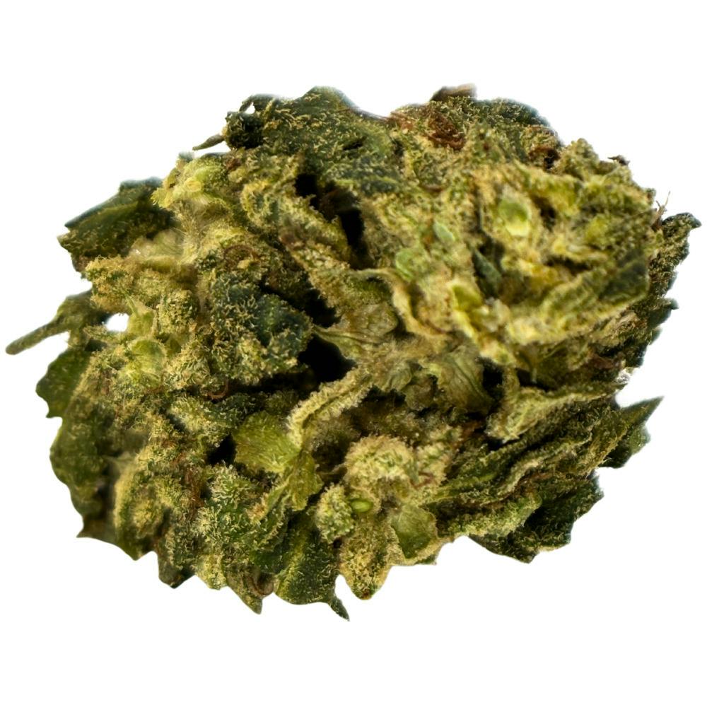 Dragonfly- lemon cookies- Eighth