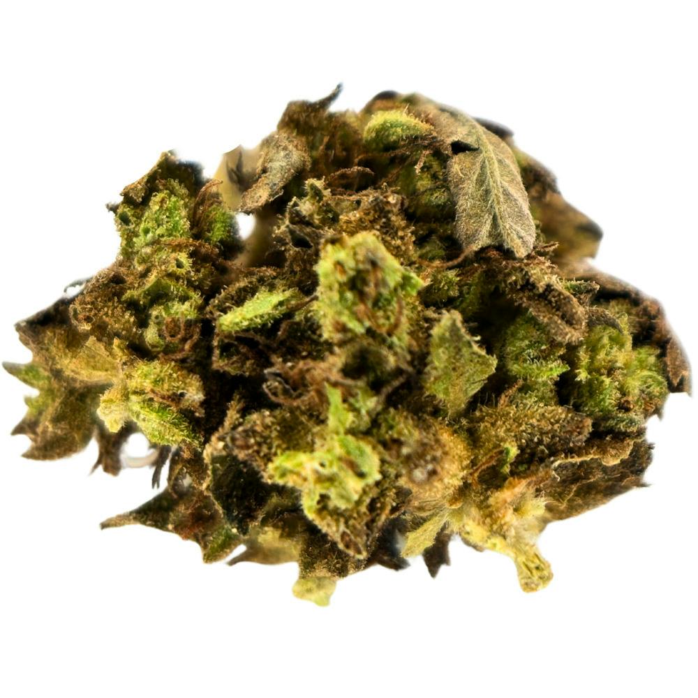 Oceana Gardens - Orange Cream Pop - Half