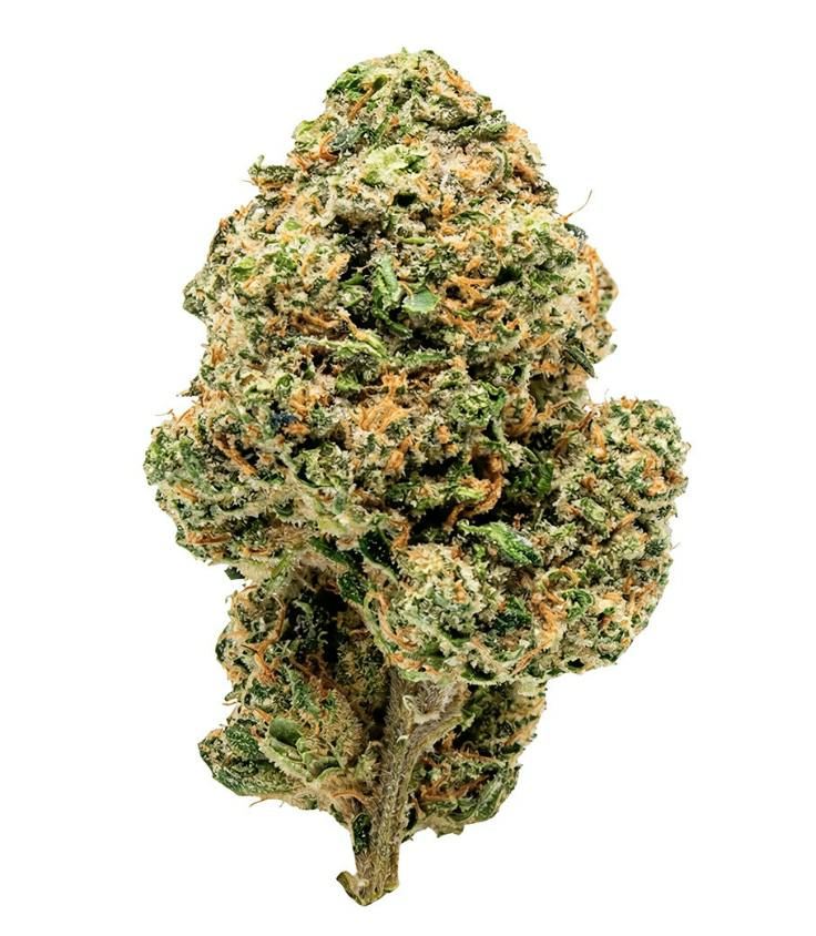Overtime- Clock In (Gorilla Zkittles) Sativa 26-29%- 7g