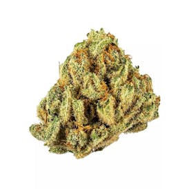 French Toast (Good Day Farm) - 7g - Flower
