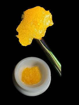 Key Lime Pie Live Badder