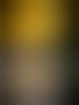 Key Lime Pie Live Badder