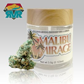 Malibu Mirage Flower